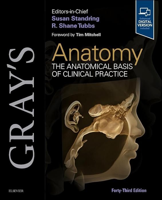 Gray's Anatomy: The Anatomical Basis of Clinical Practice